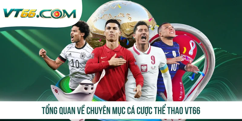 Tổng quan về chuyên mục cá cược thể thao VT66